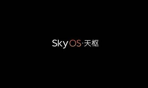 skyos电脑系统,sky windows