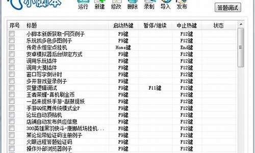 电脑系统里面的脚本怎么用不了_电脑系统里面的脚本怎么用