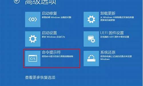 dell电脑系统引导不了系统,戴尔win10装完系统引导不进