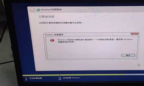 无法装系统什么原因-无法安装的电脑系统